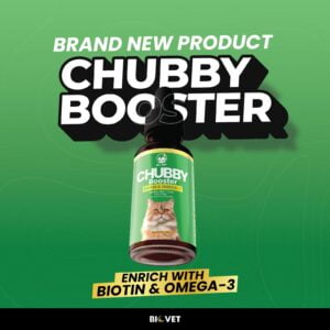 Vitamin kucing untuk bulu dan gemuk