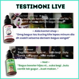 Ubat Selera Makan Kucing