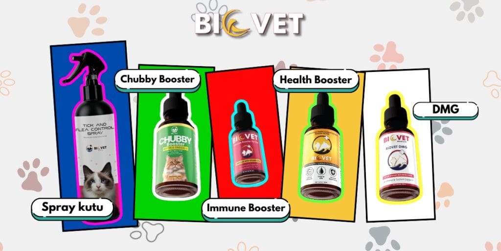 Ubat Selera Makan Kucing